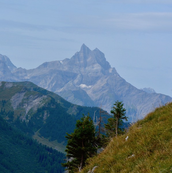 2017-08-27 / Sortie d’été à Bovonne