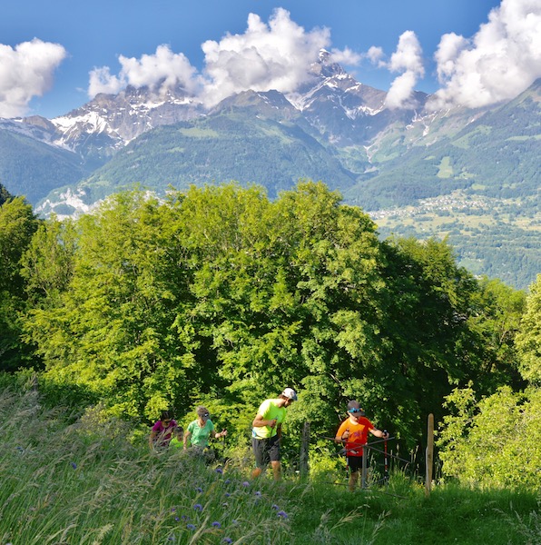 2018-06-02 / Bel entraînement sur les hauts du Châtel…