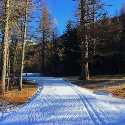 Premier entraînement sur la neige pour certains…