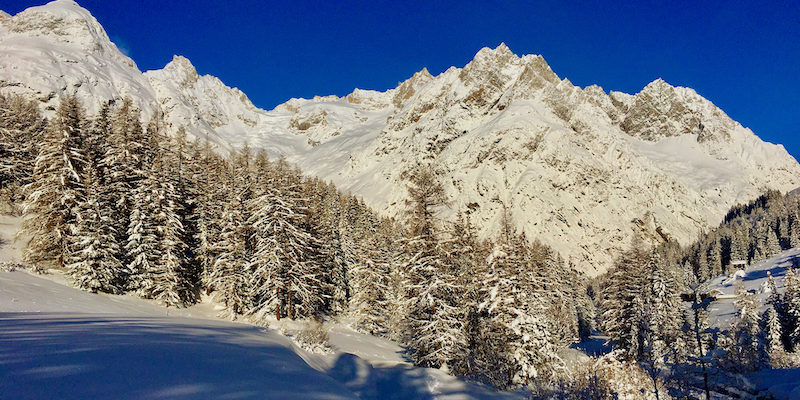 Bel entraînement dans le Val Ferret…